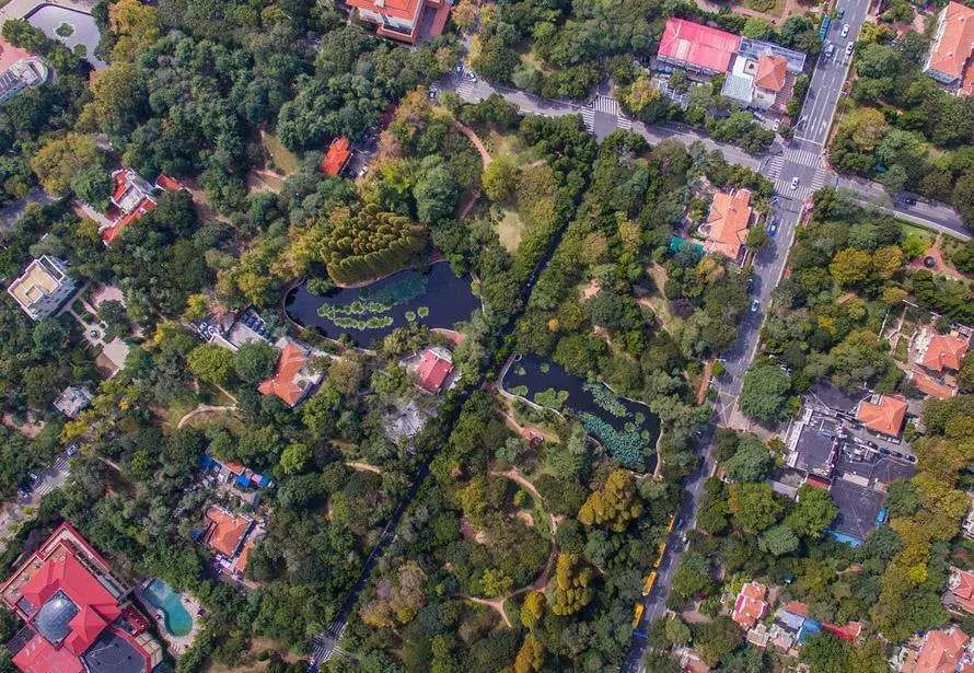 青岛八大关枫叶,青岛听劝版攻略