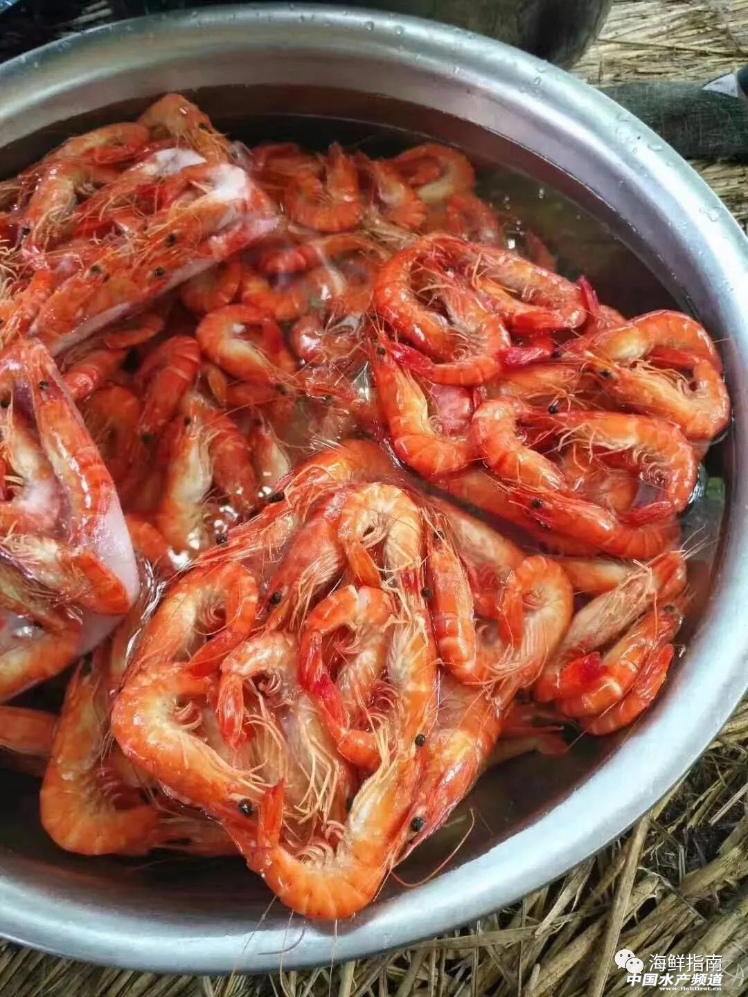 饭店做的白灼虾为啥那么好吃,大排档的白灼虾为什么那么鲜甜