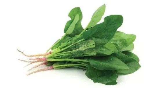 水产饲料成分说明,海水饲料