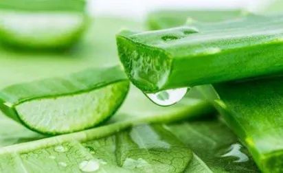 水产饲料成分说明,海水饲料