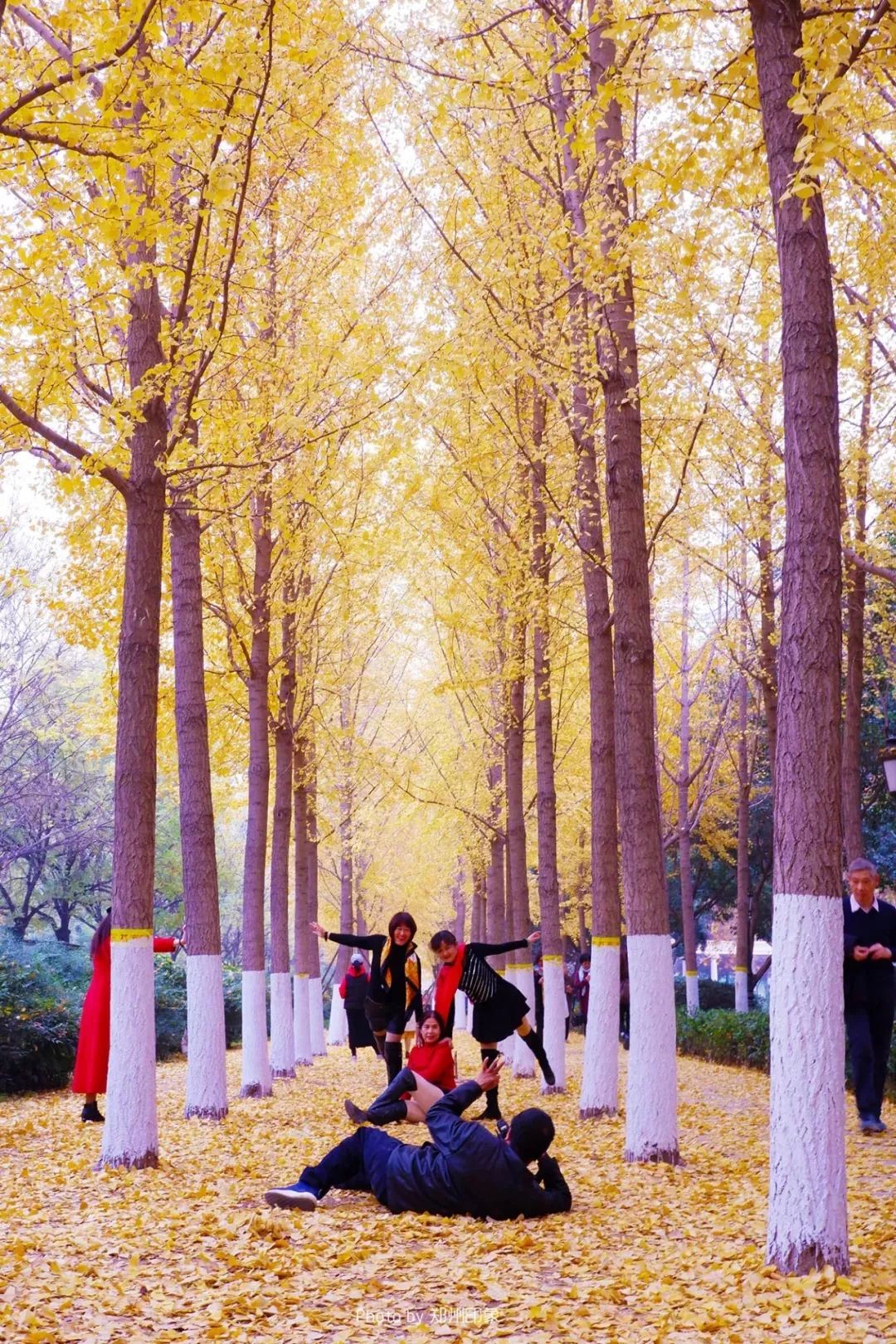 郑州市长向世界发出邀请,郑州向全球招才引智