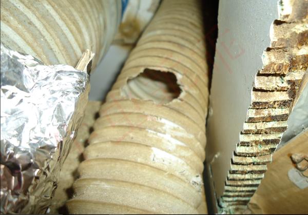 房间里进了老鼠什么办法抓最好,住高层老鼠怎么消灭