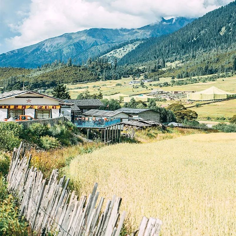 日系清新拍照参考,拍小清新日系照