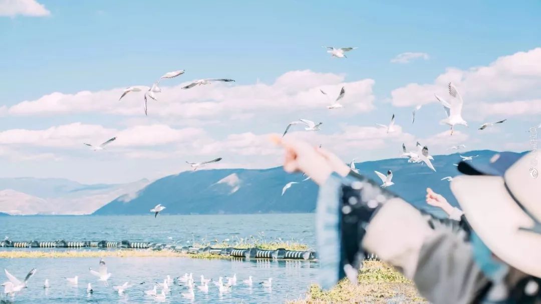 日系清新拍照参考,拍小清新日系照