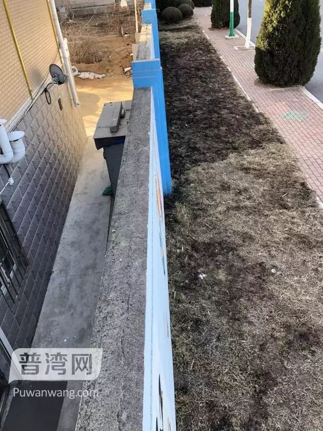 「提醒」过年还没擦玻璃的淄博人，速看！