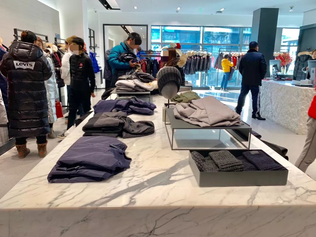 加拿大鹅遍布大街小巷,加拿大鹅北京街