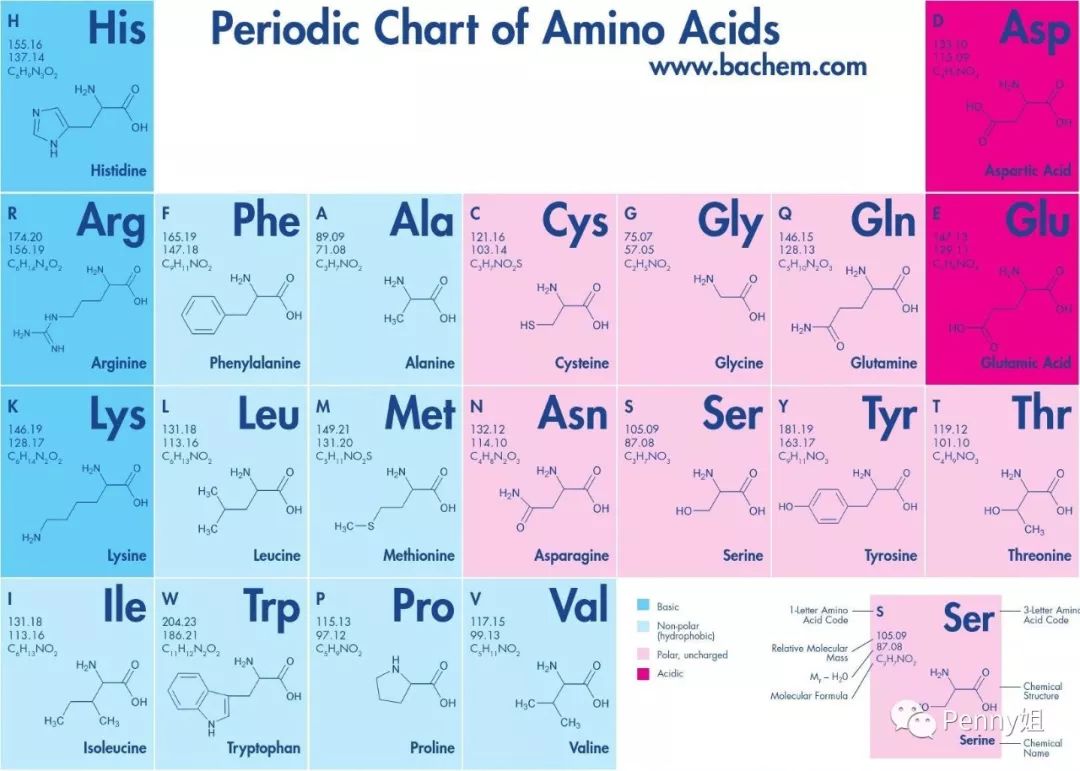 抗衰成分胜肽测评,抗衰六胜肽