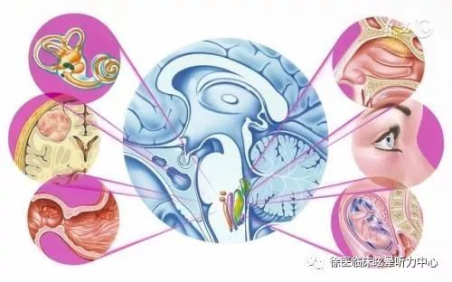 头晕不是血管的问题,头晕不一定是脑梗吧