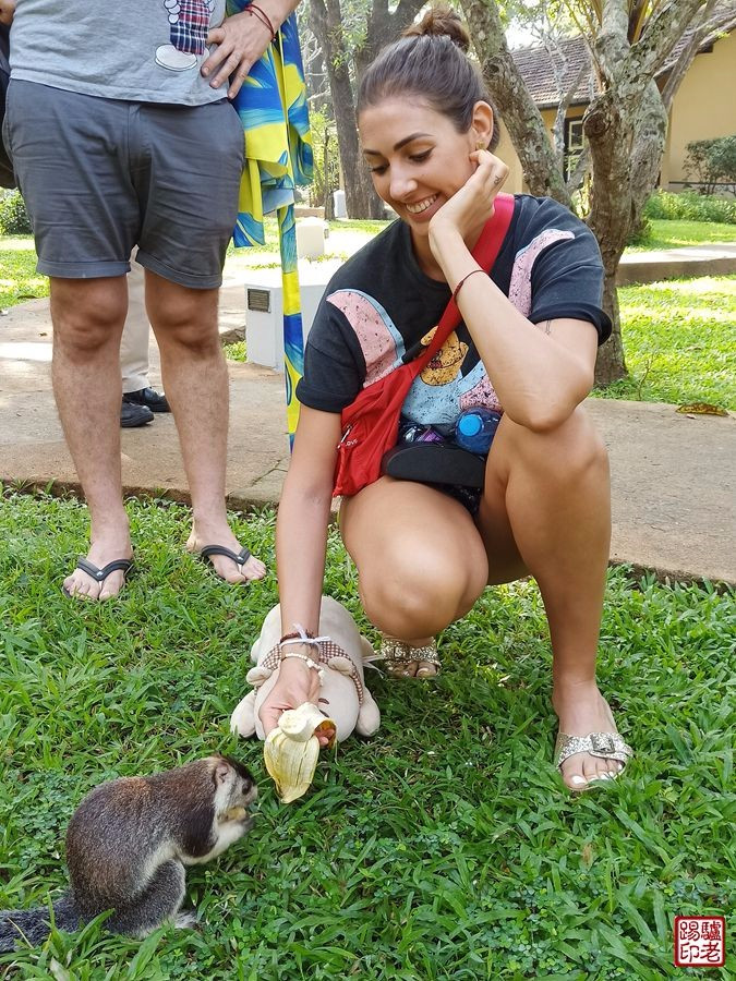 斯里兰卡农村真实生活视频,斯里兰卡华人真实生活视频