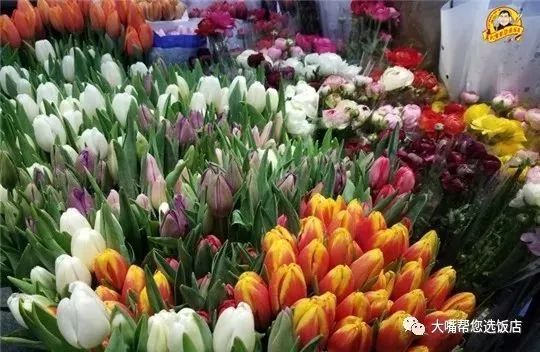 大连免费赏花好去处,逛遍大连