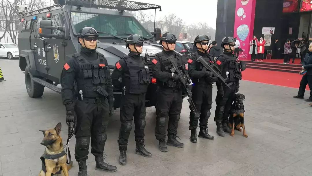 德州警犬训练视频,带大家认识警犬养成记