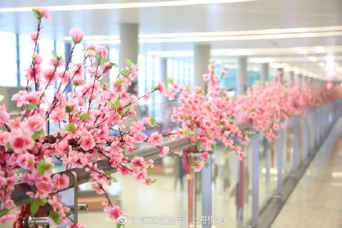 震惊！一百多年来，上海这些机场竟深藏着那么多秘密