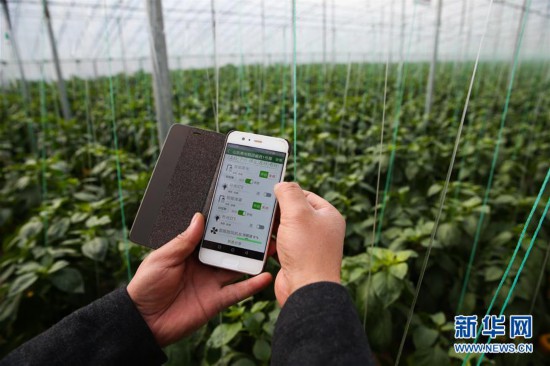 聚焦中国高质量发展,聚焦高质量发展深度剖析