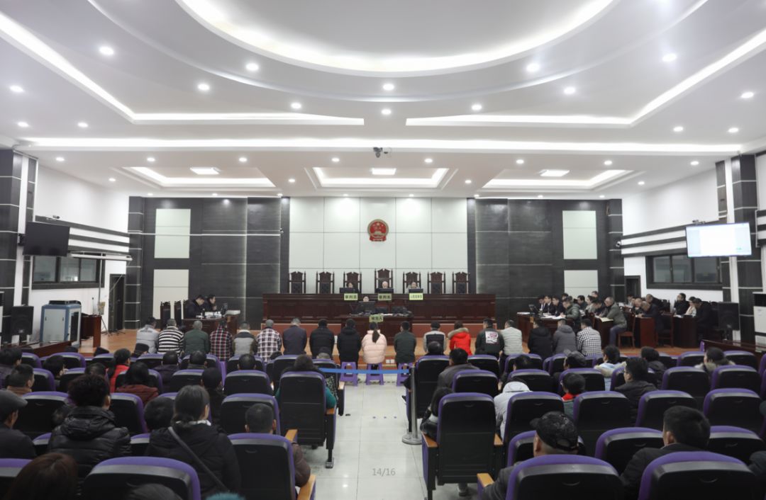 安徽六安诈骗团伙被抓,六安公安破获一起特大诈骗案