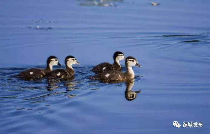 我在亳州你在哪里歌词,我在亳州你在哪里原唱