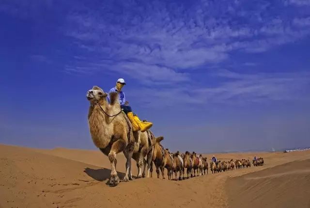 这些网上疯传的照片都是骗人的,你该知道的网络疯传的假照片