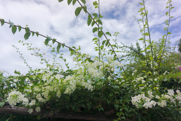 曼谷芭提雅精华景点,曼谷芭提雅双人套餐