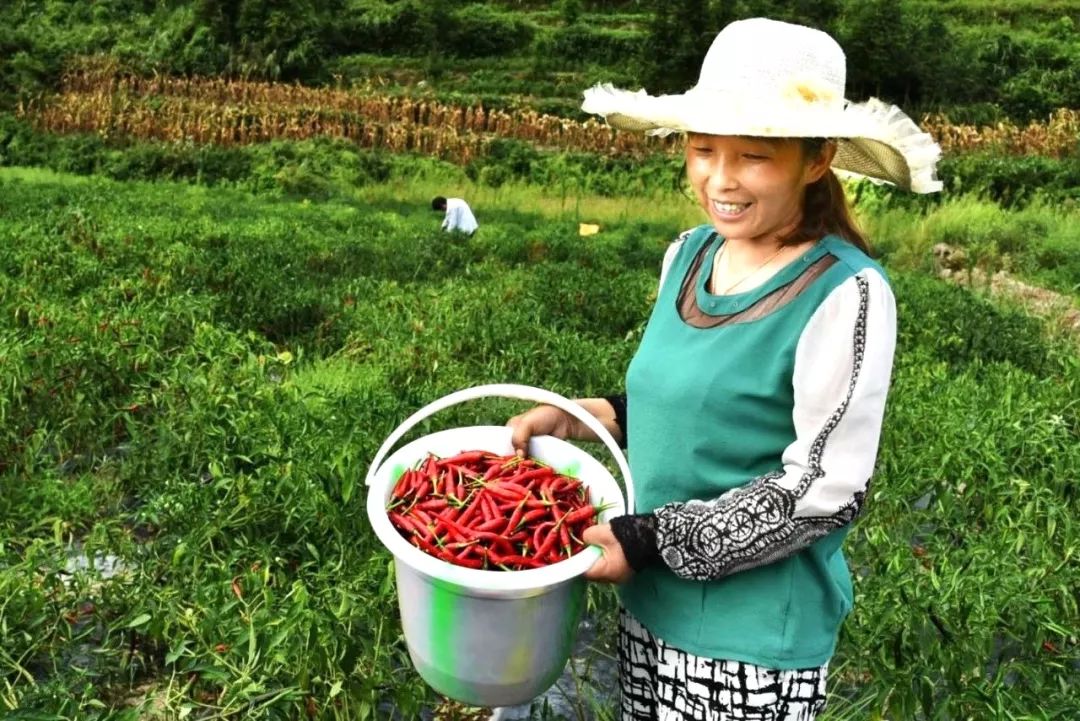 “村头”走向世界有多远？秀山296个电商网点让土货轻松变网货