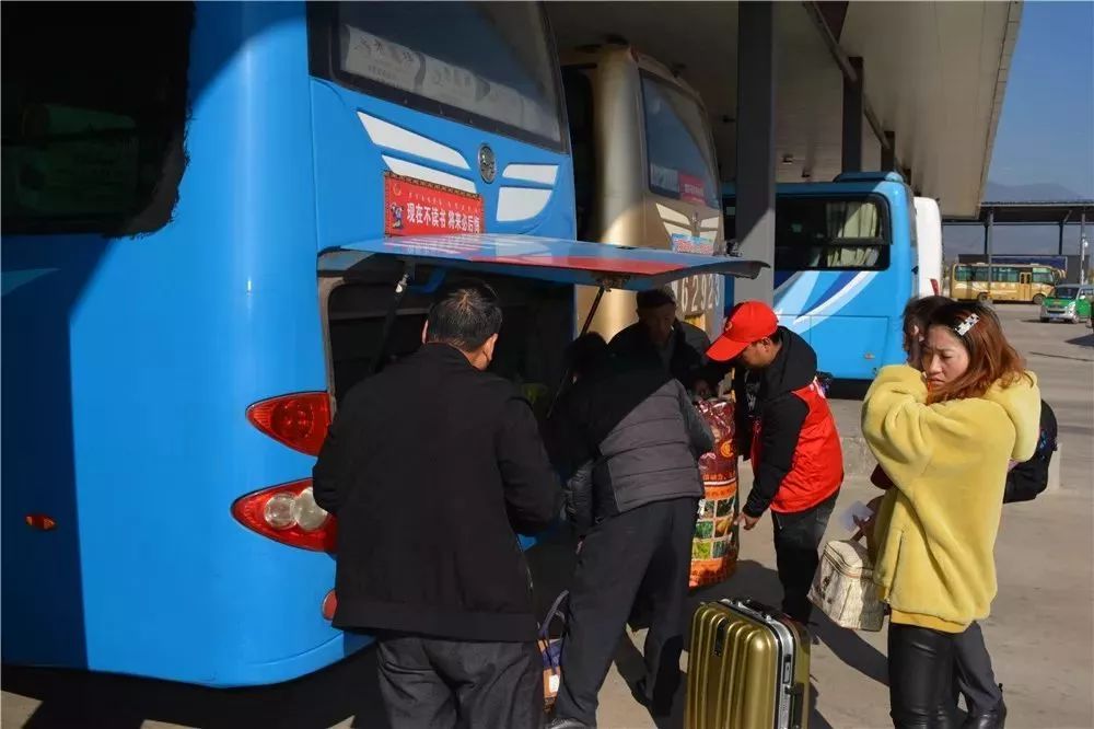 推荐｜团团的问候：你已经回家了吗？