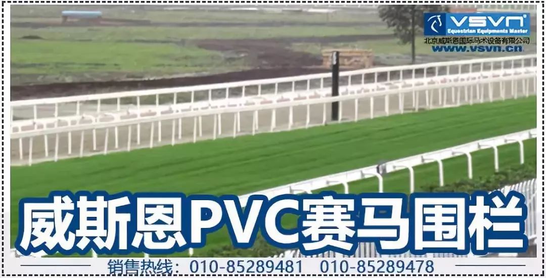 赛马前腿瘸了什么原因,赛马腿瘸了