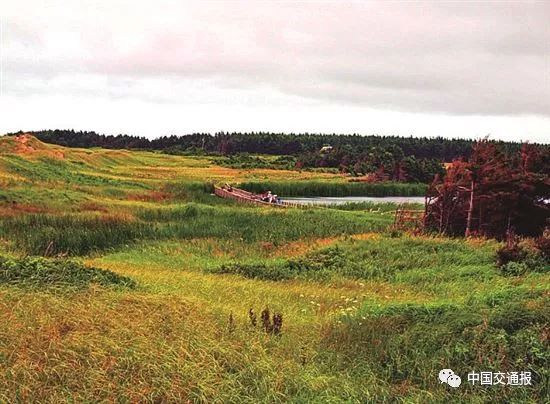 加拿大爱德华王子岛怎么找不到,加拿大爱德华王子岛怎么样