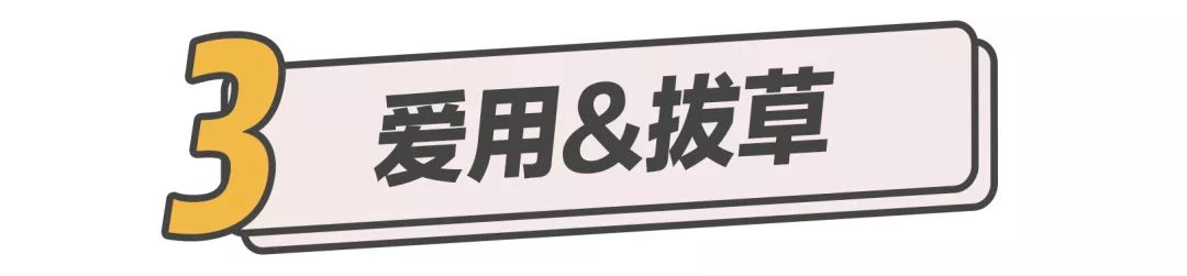 种草压岁钱,承包你一年的笑点炸雷
