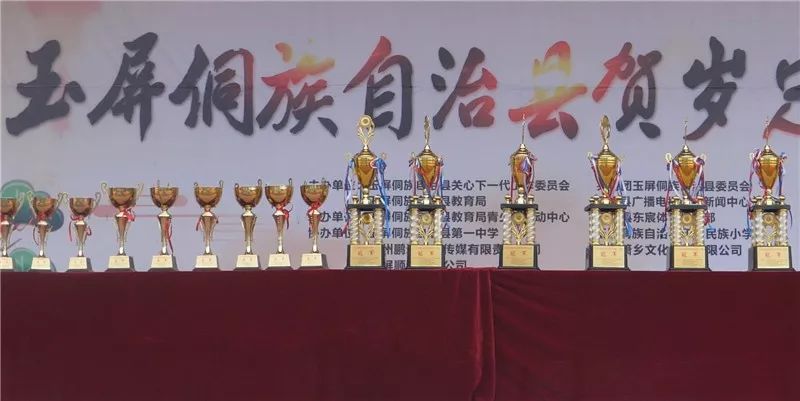 玉屏县县级足球比赛,玉屏足球冠军出炉