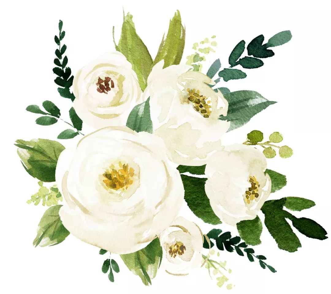 如何知道知网的文献是不是免费的,怎么知道知网哪些论文免费