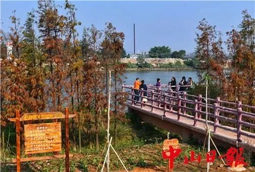 中山最美的免费公园,中山十大免费公园