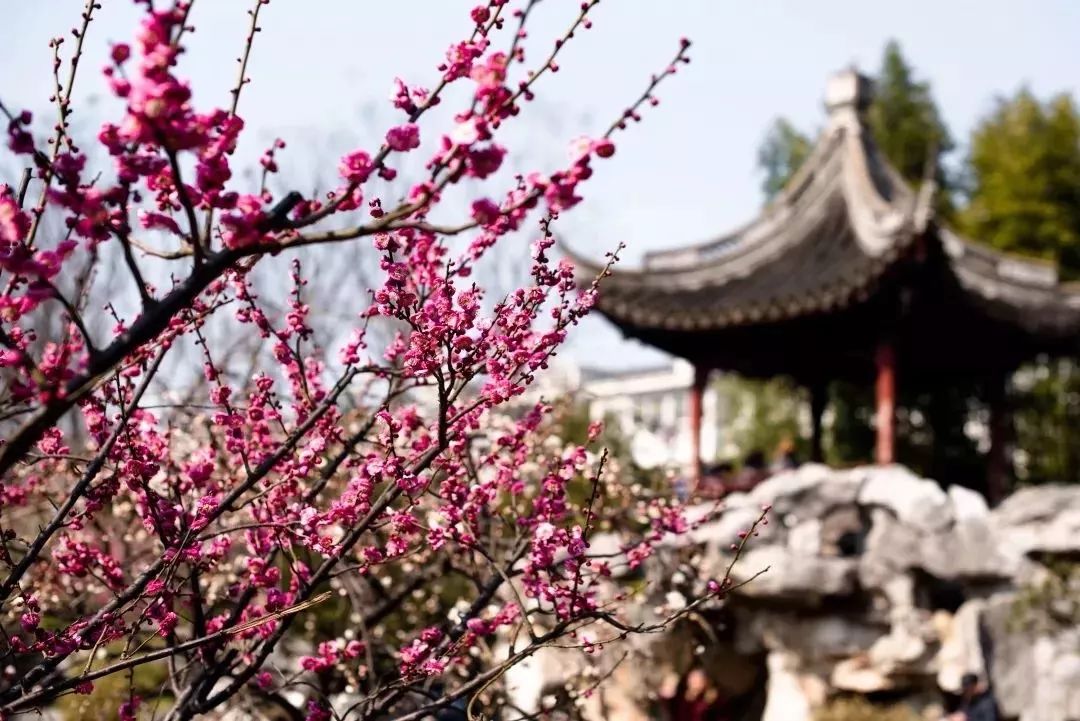 春节假期没嗨够怎么办？又一大波美轮美奂的景点等着你！乘公交直达