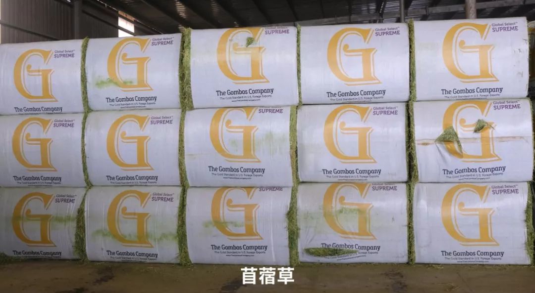 牛奶怎么选老爸测评,牛奶怎么选儿童