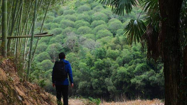 户外防晒防风夹克,布来亚克防风防水速干夹克