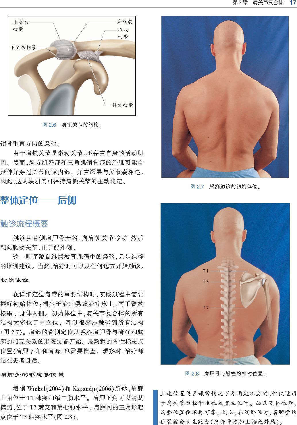 好书推荐｜《触诊技术》——李哲人体科学团队——开年首发