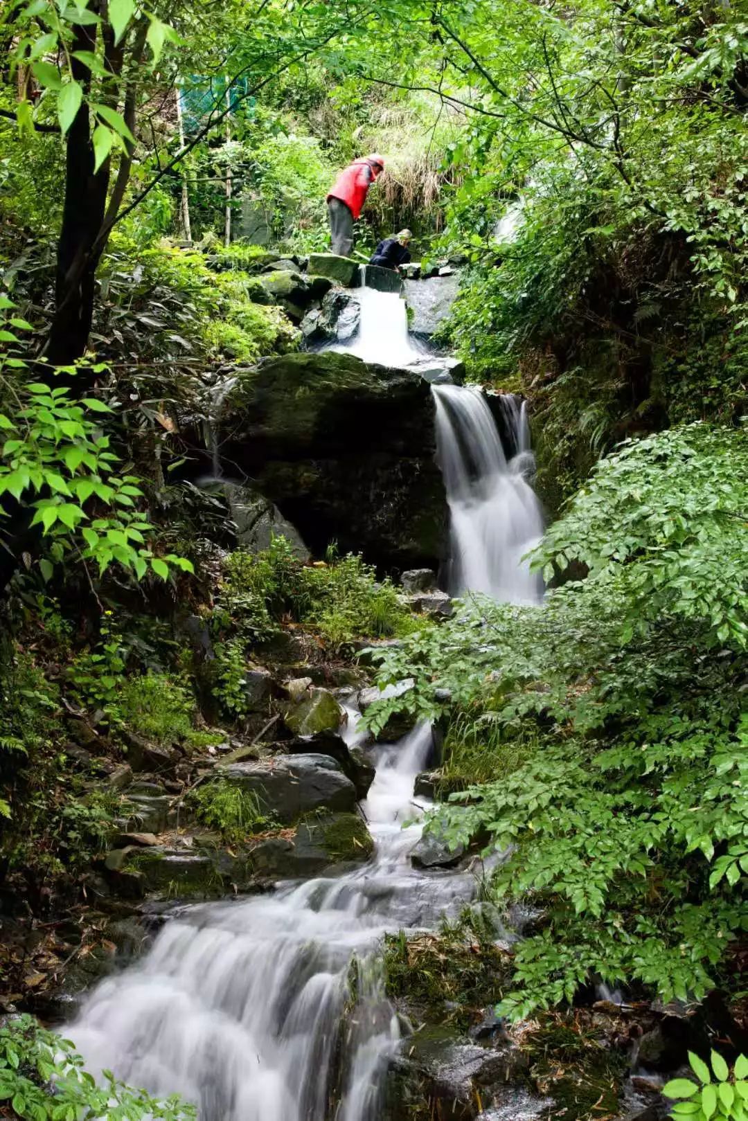 这里是里山！（内含福利）
