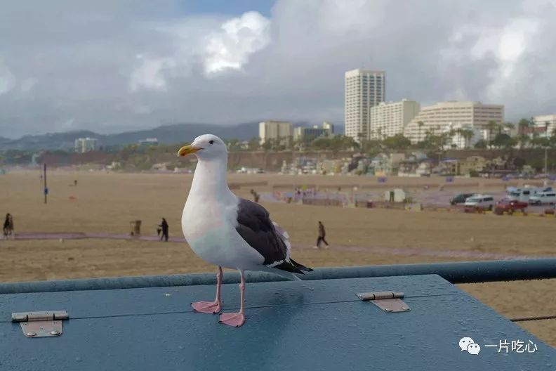 两天两夜飞到世界尽头找自己永恒的情人