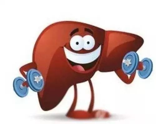 体检时如何避免肝功能异常,体检肝功能怎么才能过