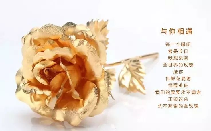 松江开元地中海餐饮,开元地中海餐厅预约