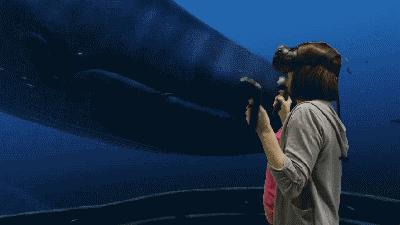 舟山元宵节去哪里玩最合适,元宵节还有哪些活动