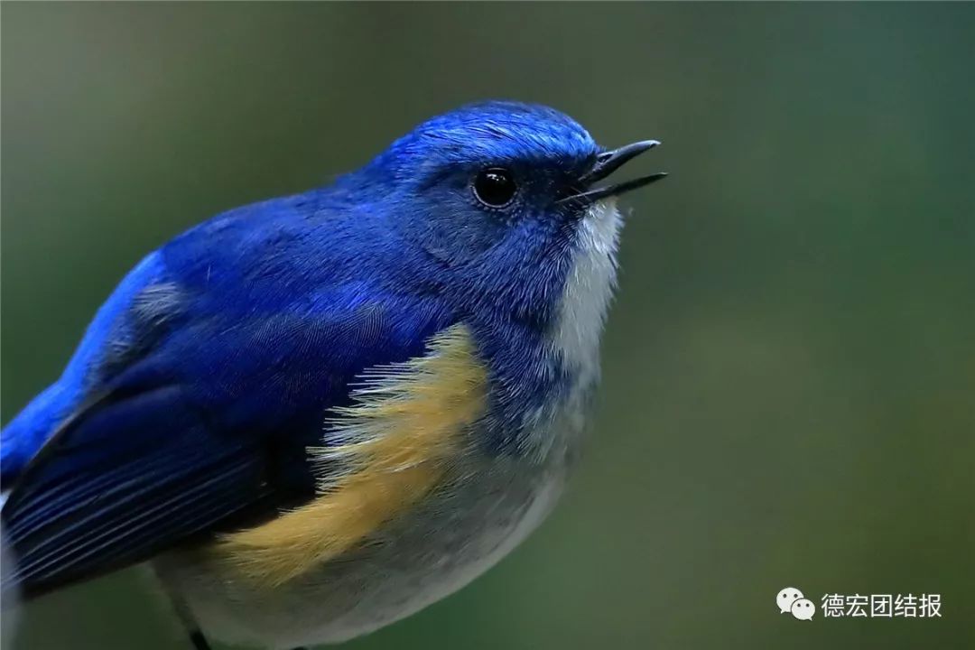 镜语德宏,瑞丽市勐秀乡户瓦山