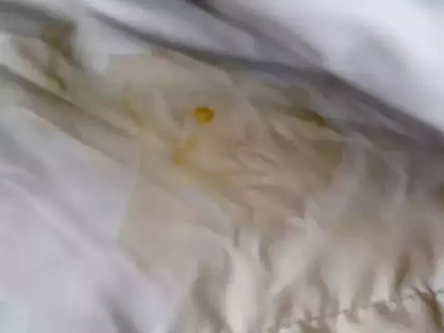 羽绒服脏了教你一招立刻变干净,羽绒服脏了怎么洗掉小窍门