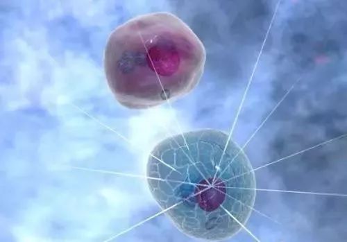 日本美容针,日本的美容针