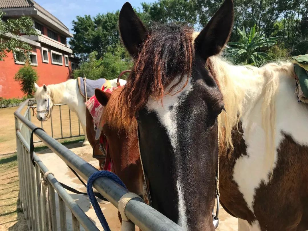 去日本从哪里出发便宜,去日本从哪里出发最便宜