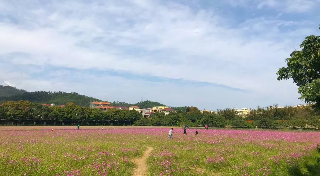 去日本从哪里出发便宜,去日本从哪里出发最便宜