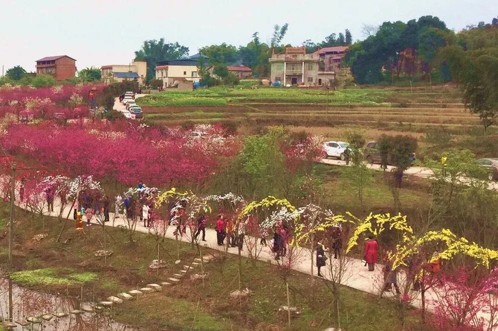 景点打卡石门花海,美哭了景区