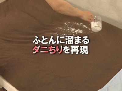 日本爱丽思除螨仪,日本紫外线除螨仪