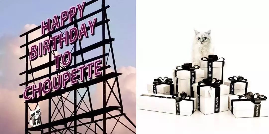 老佛爷的所有家产最后留给了猫 (老佛爷的猫死后谁来继承他的遗产)