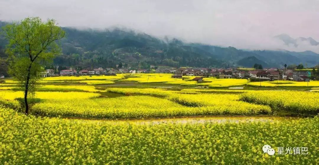 汉中这几天有啥好玩的,5月的汉中有哪些好玩的地方