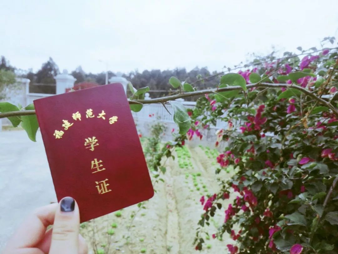 假期余额告急！是时候晒出我和“他”的旅行日记了