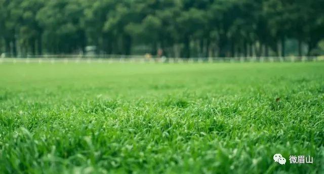 2024眉山重点项目清单,眉山2024年重大项目有哪些