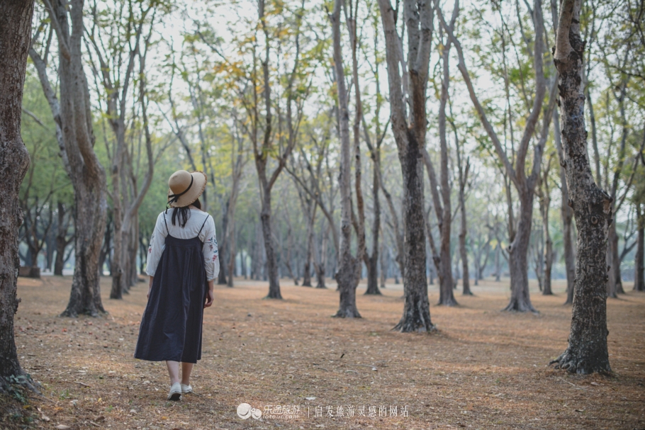 素可泰历史公园，骑行48h